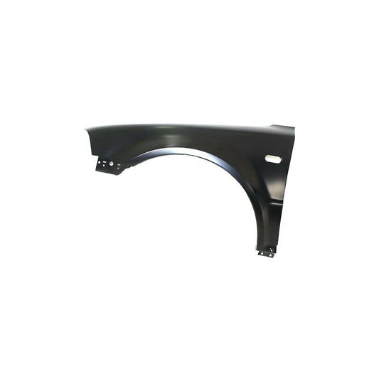 Volkswagen Passat Fender 2001-2005 Left Side