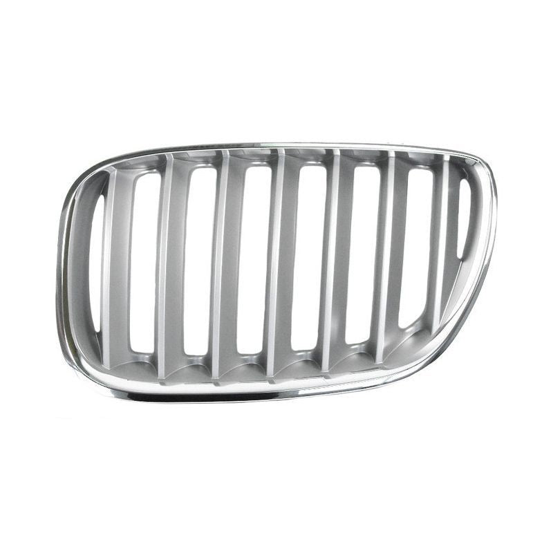 BMW X-5 Grille Assembly Titan 2004-2006 Left Side