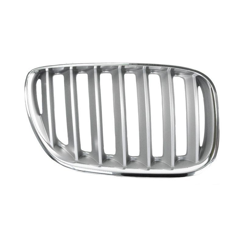 BMW X-5 Grille Assy  Titan 2004-2006 RH