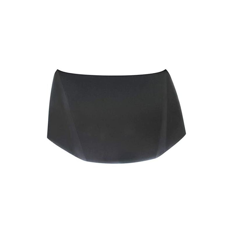 ES-300 Hood 2013-2018