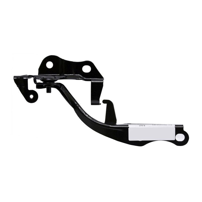 Bisagra del capó izquierdo de Toyota 4Runner (2010-2021)